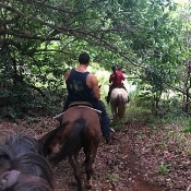 Maui Mountain Activities