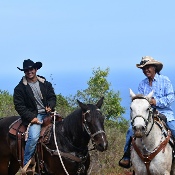 Maui Mountain Activities