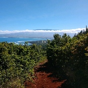 Maui Mountain Activities