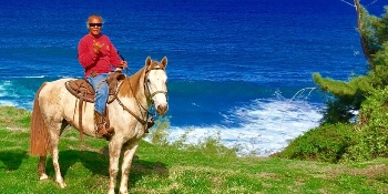 Maui Horseback Rides