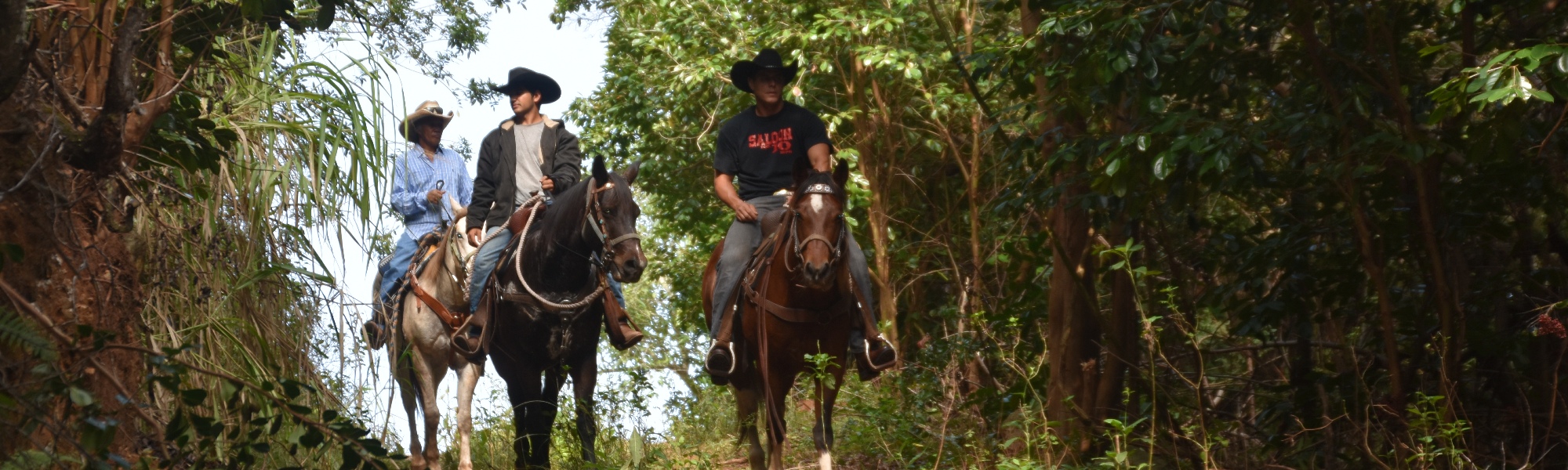 Maui Mountain Activities Afternoon Horseback Ride