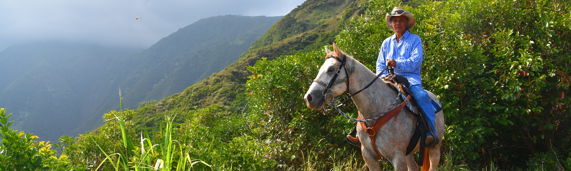 Maui Mountain Activities Morning Horseback Ride